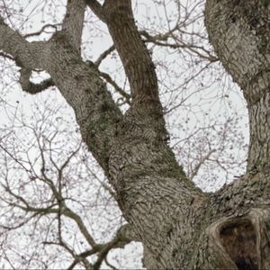 Meet your Posher, Ashlee